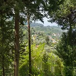 Szálloda Watermill & Faralya