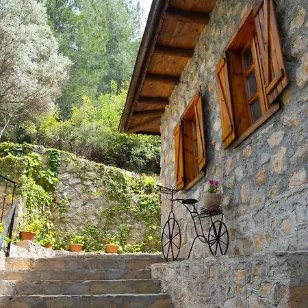 Watermill & Faralya מלון *