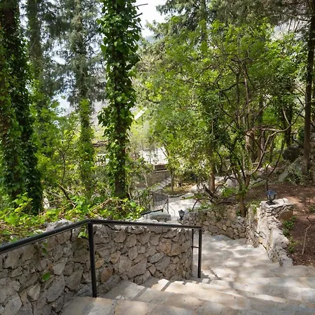 Watermill & Faralya *