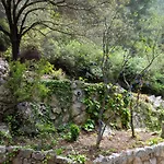 מלון Watermill & Faralya פאטהיה